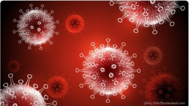 Photo of Fakty o novom variante vírusu Omikron. Šíria ho najmä zdraví a mladí očkovaní ľudia